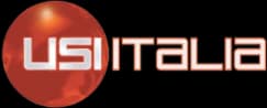 USI Italia logo